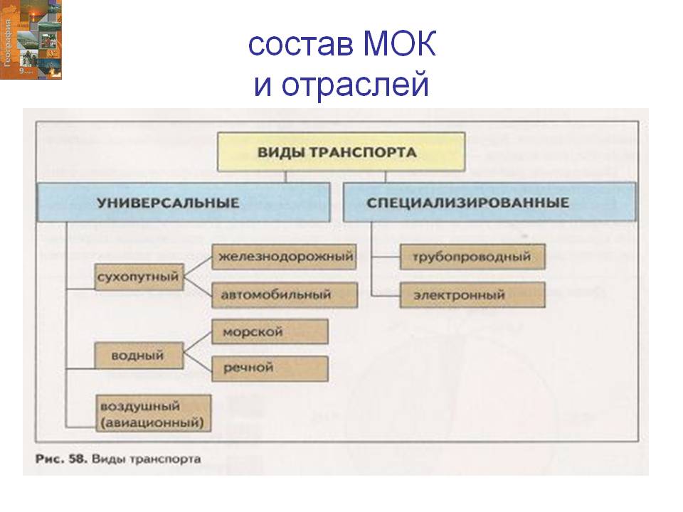 Состав МОК и отраслей