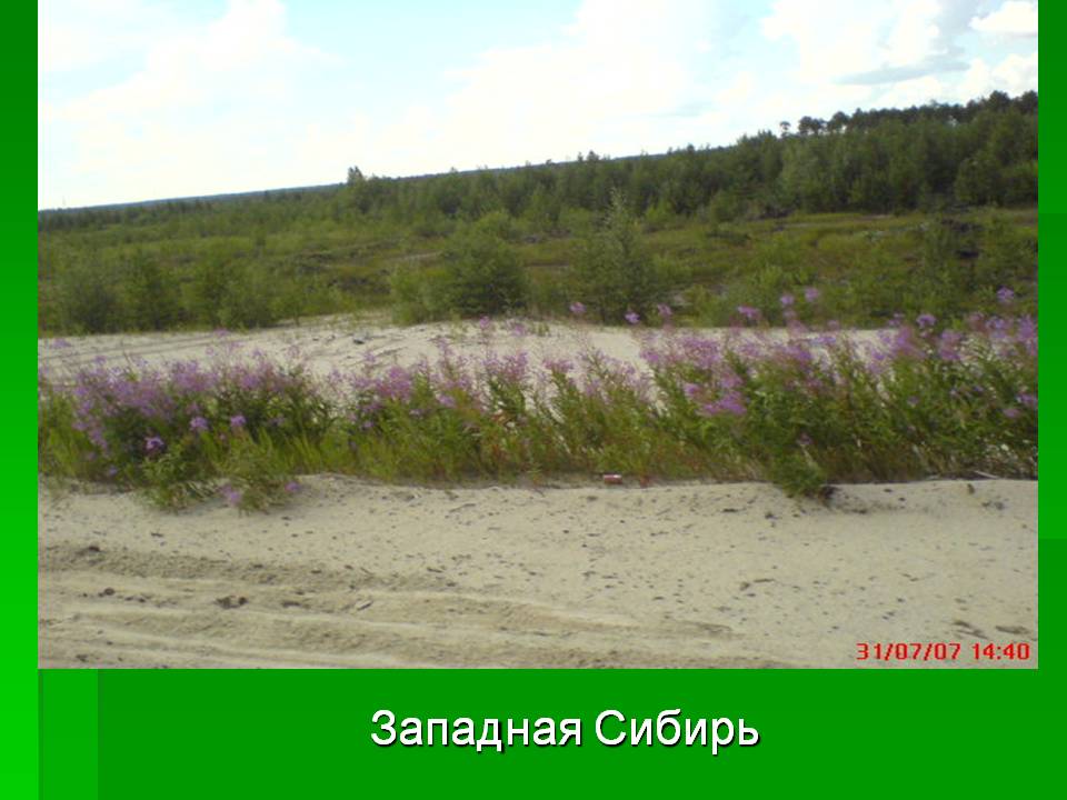 Западная Сибирь