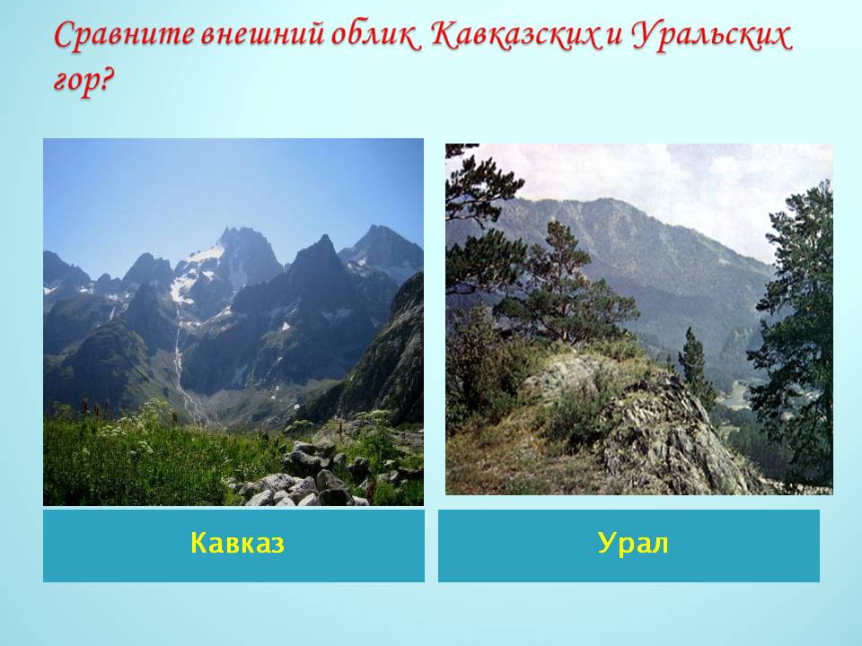 Кавказ