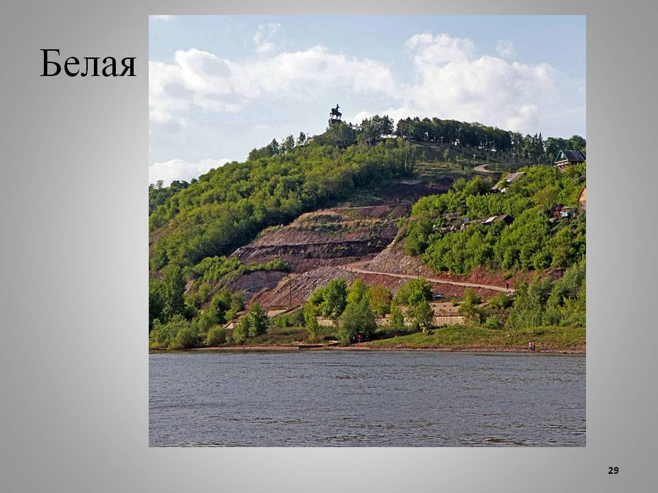 Белая