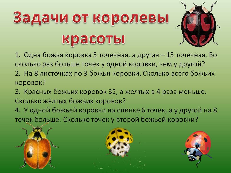 Задачи от королевы красоты