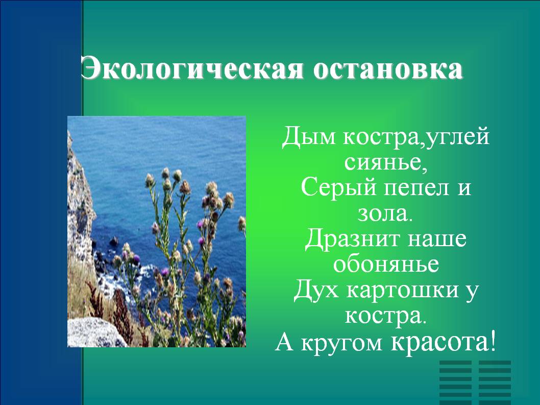 Экологическая остановка