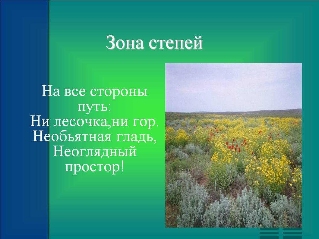 Зона степей