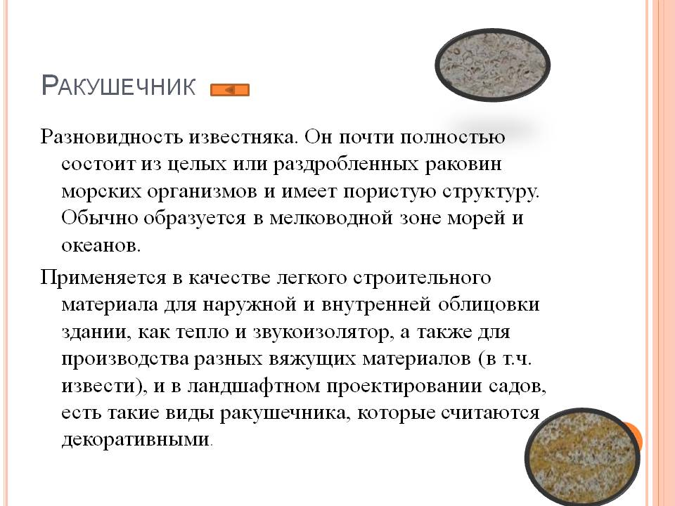 Ракушечник