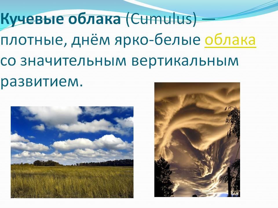 Кучевые облака (Cumulus) — плотные, днём ярко-белые облака со