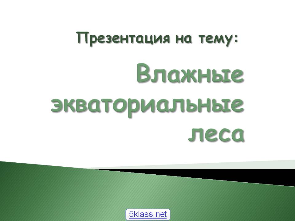 Влажные экваториальные леса