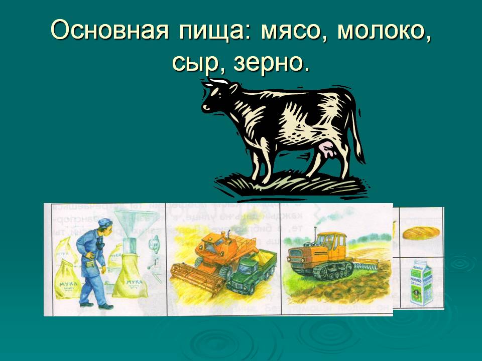 Основная пища: мясо, молоко, сыр, зерно