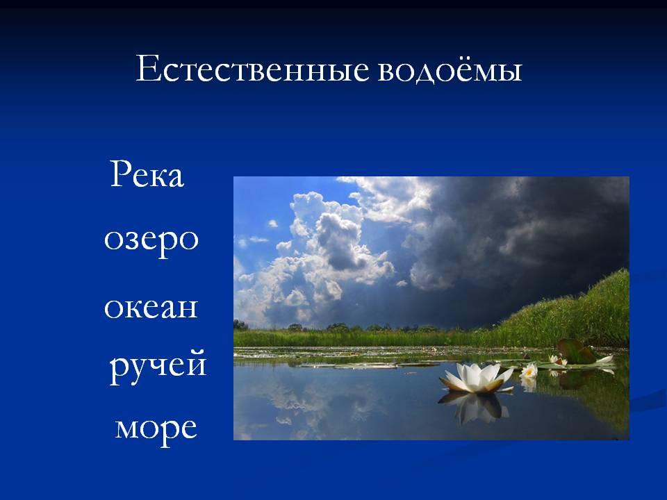 Естественные водоёмы