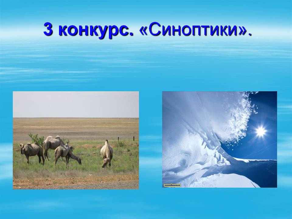 Синоптики
