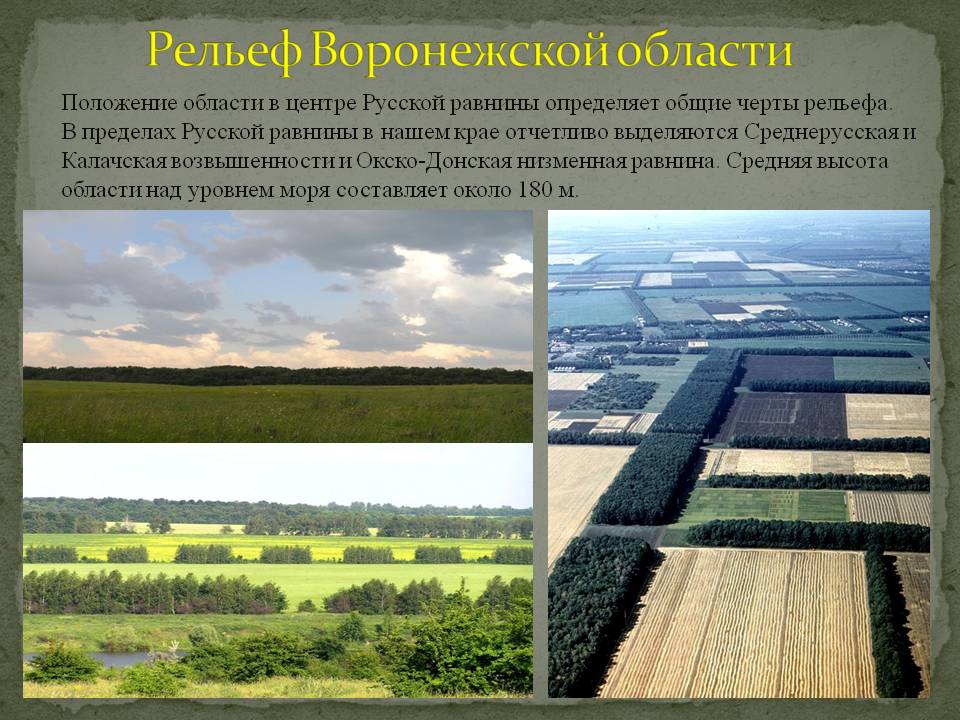 Рельеф Воронежской области