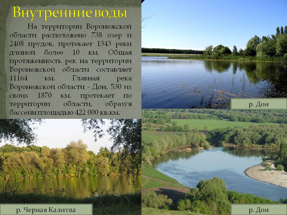 Внутренние воды