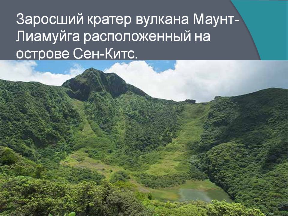 Заросший кратер вулкана Маунт-Лиамуйга