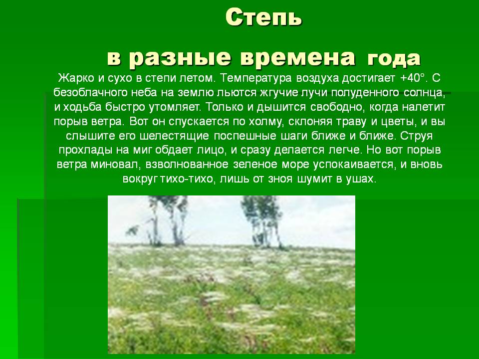 Степь в разные времена года