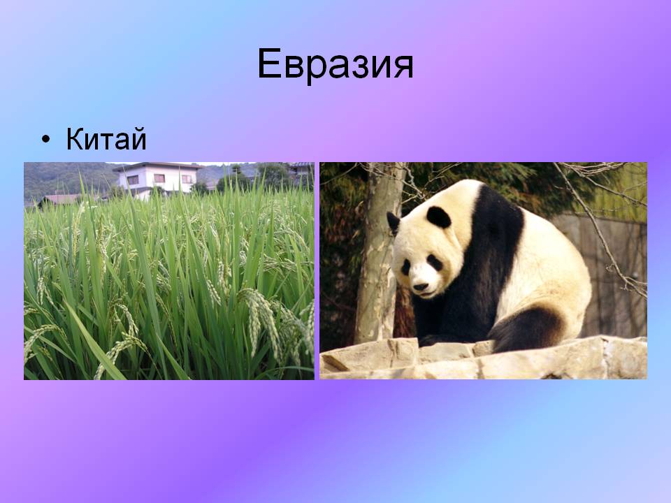 Евразия