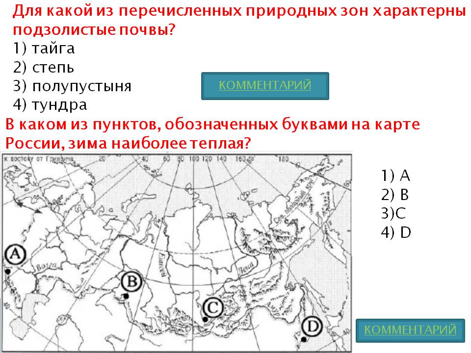 Подзолистые почвы