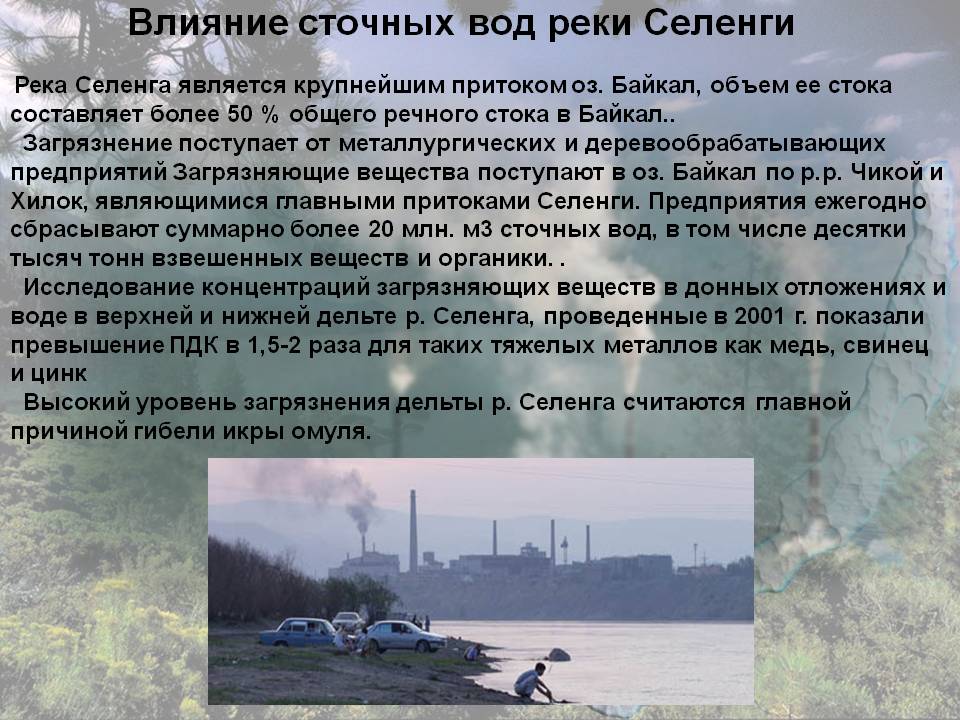 Влияние сточных вод реки Селенги