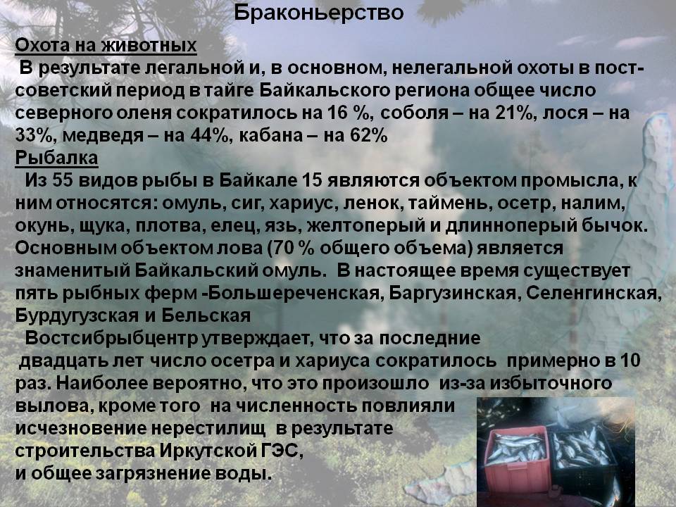 Браконьерство