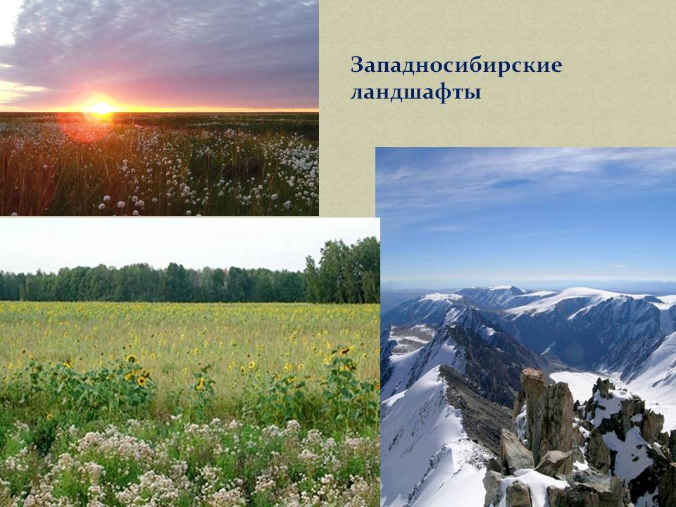 Западносибирские ландшафты