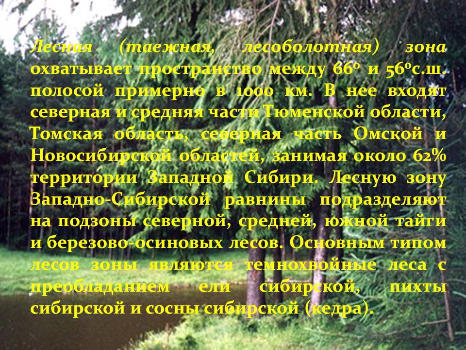 Лесная (таежная, лесоболотная) зона охватывает пространство между 66o