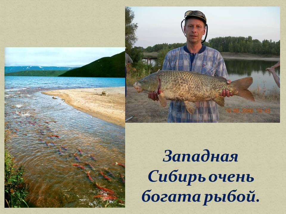 Западная Сибирь очень богата рыбой