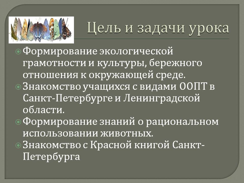 Формирование экологической грамотности