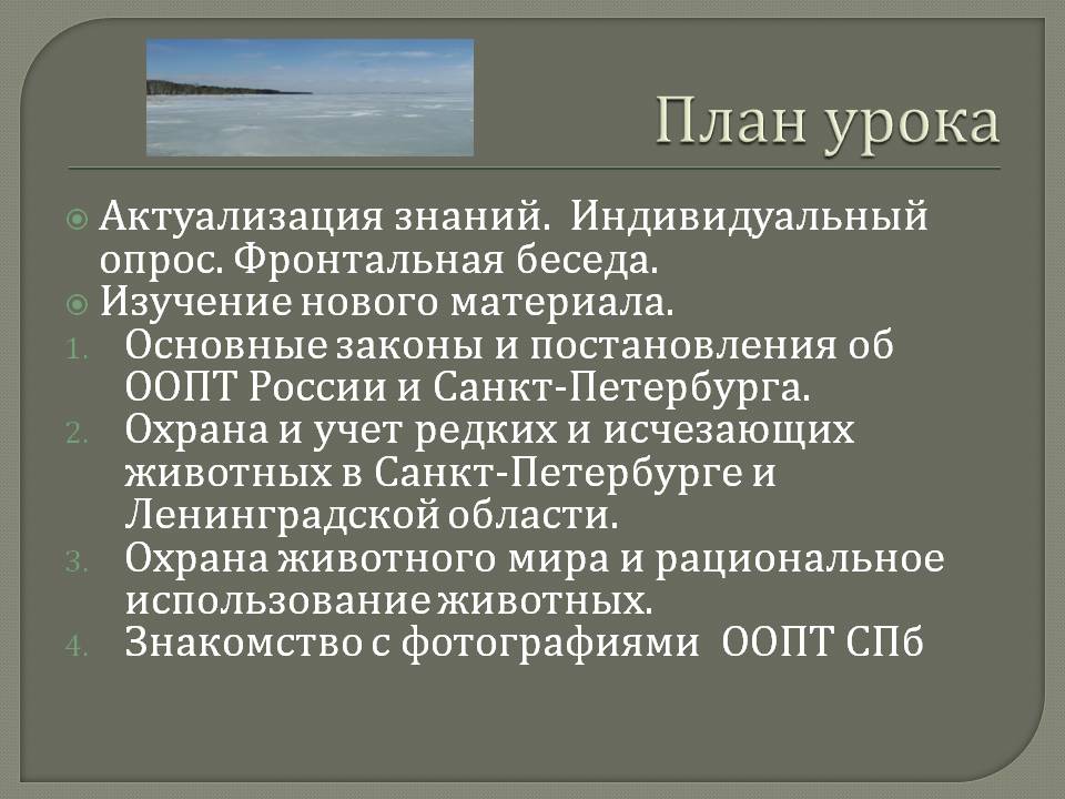 Индивидуальный опрос