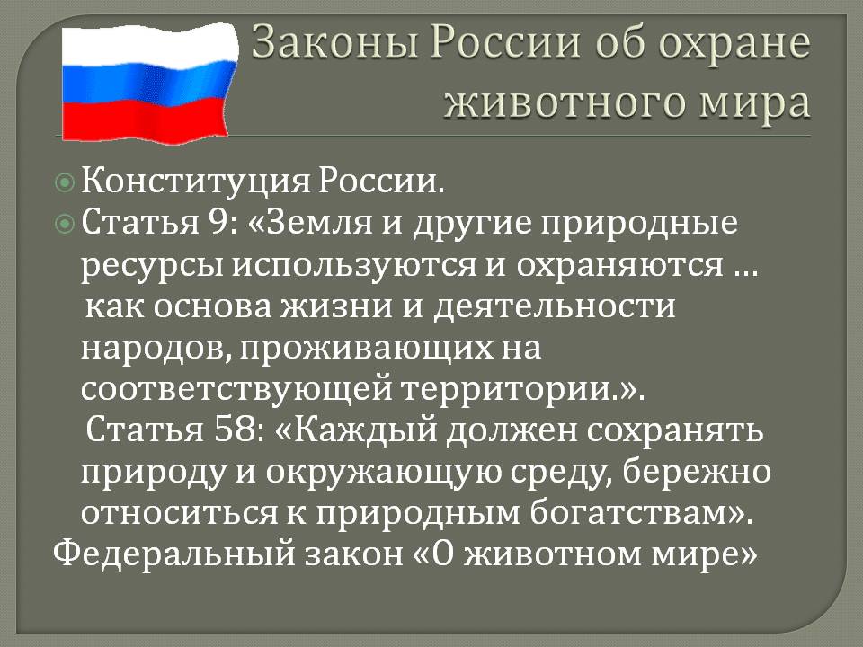 Законы России об охране животного мира