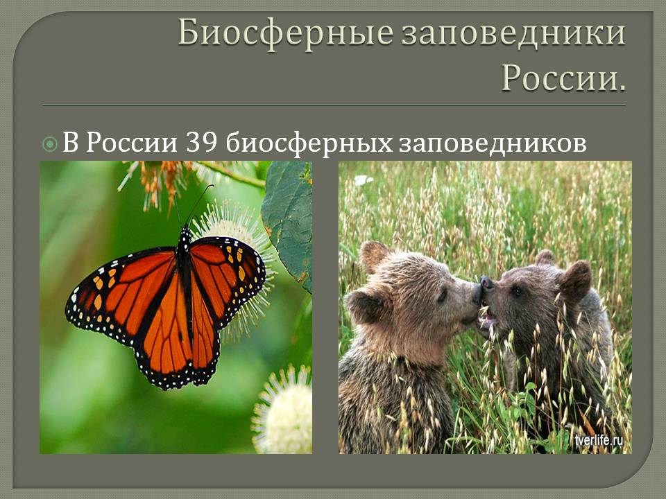 Биосферные заповедники России