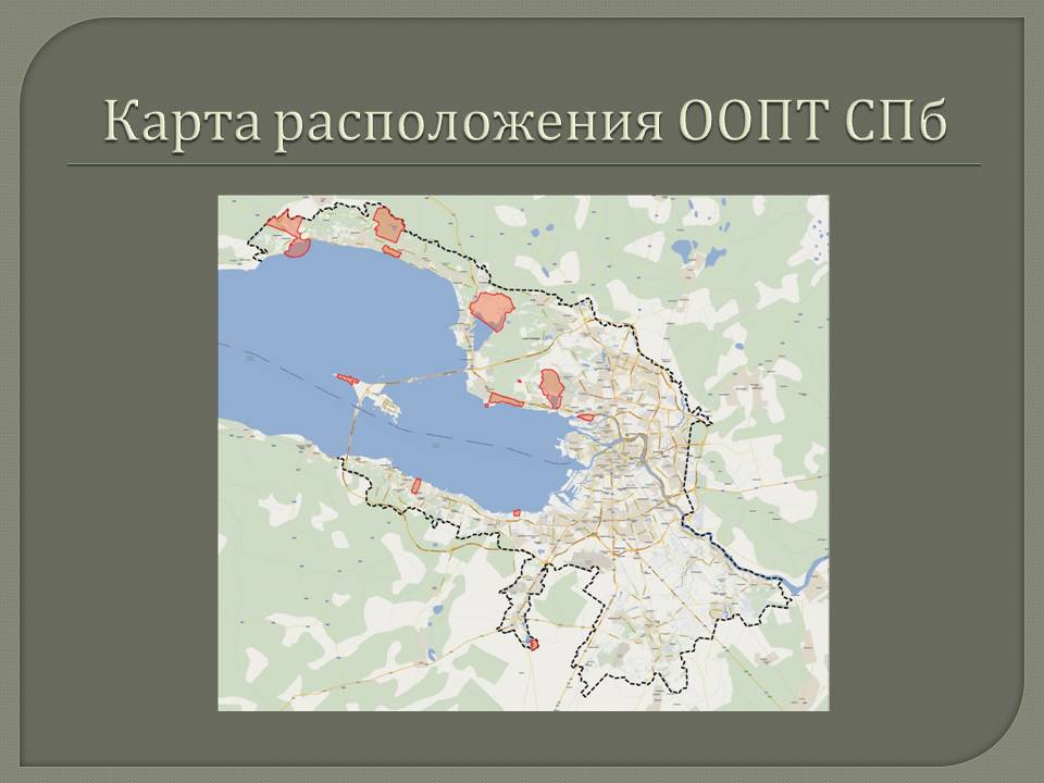 Карта расположения ООПТ СПб