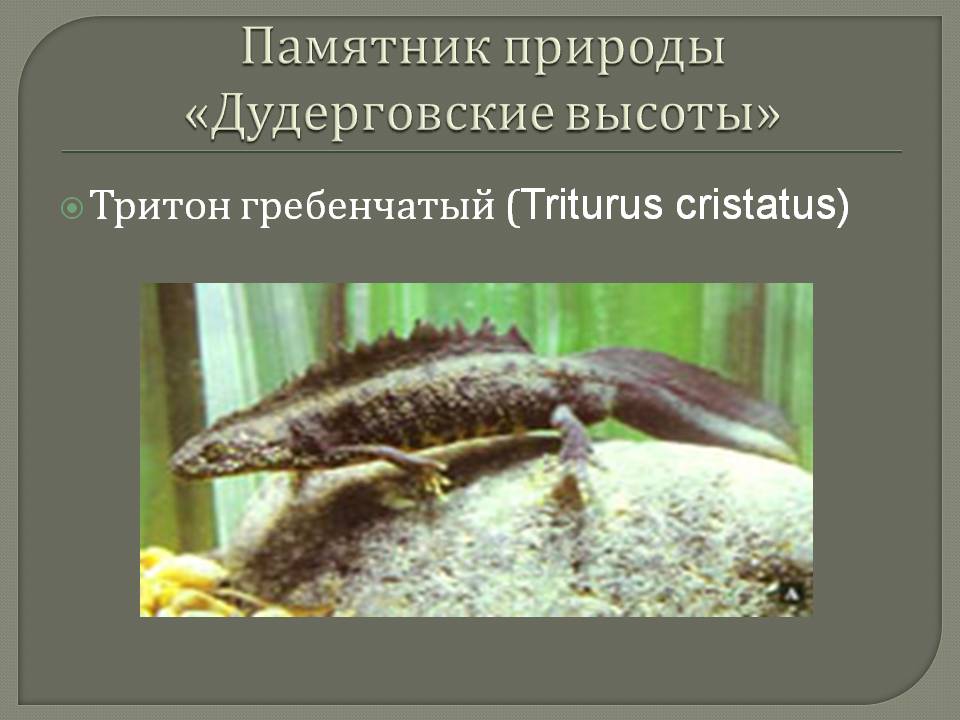 Памятник природы «Дудерговские высоты»