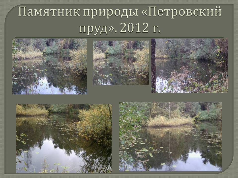 Памятник природы «Петровский пруд»