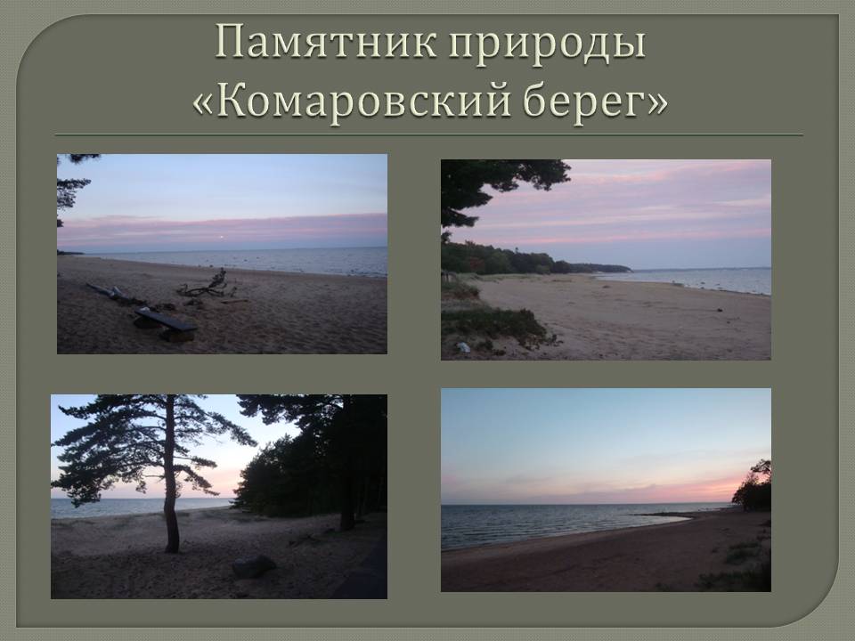 Памятник природы «Комаровский берег»