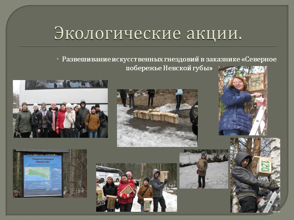 Экологические акции