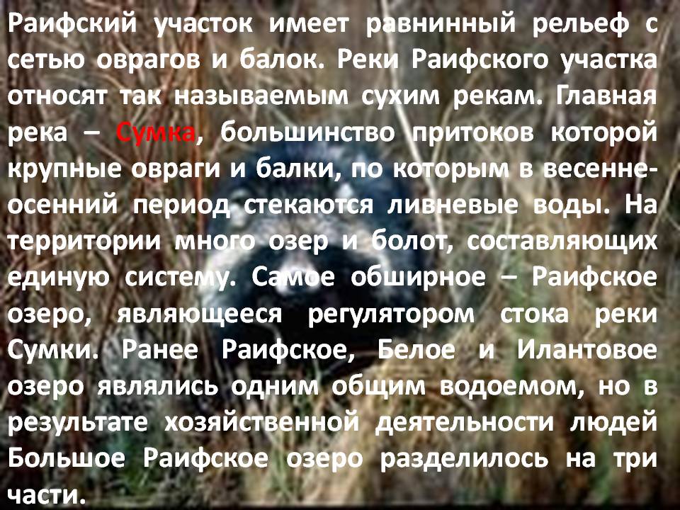 Раифский участок имеет равнинный рельеф с сетью оврагов и балок