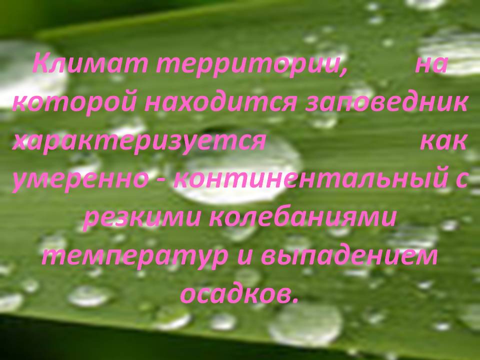 Климат территории, на которой находится заповедник