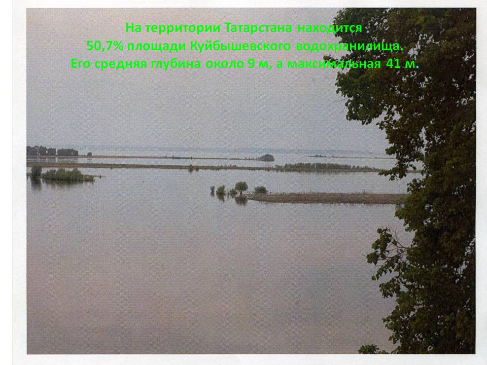 50,7% площади Куйбышевского водохранилища
