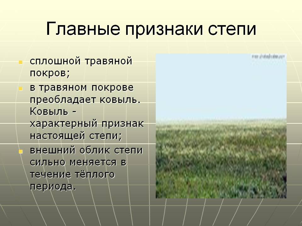 Главные признаки степи
