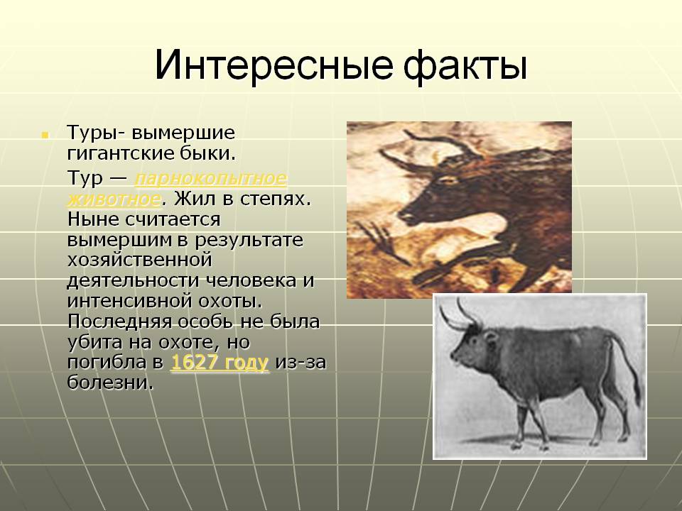 Интересные факты