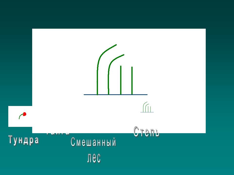 Тайга