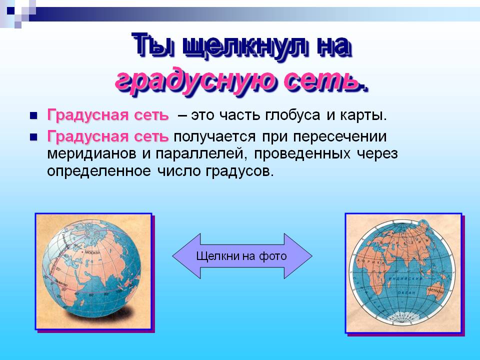 Градусная сеть