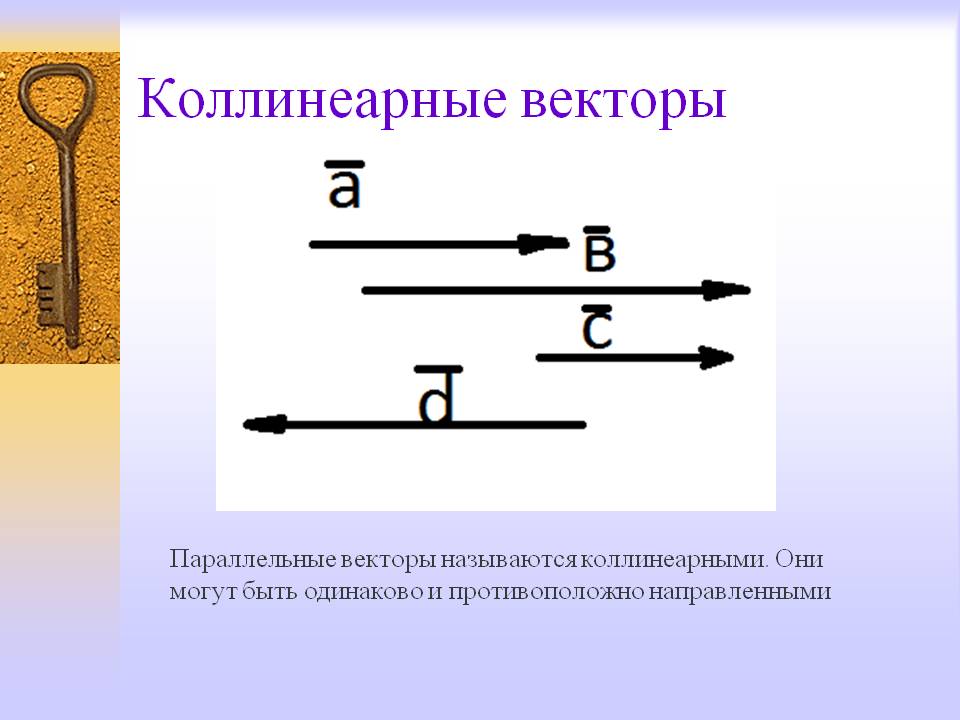 Коллинеарные векторы