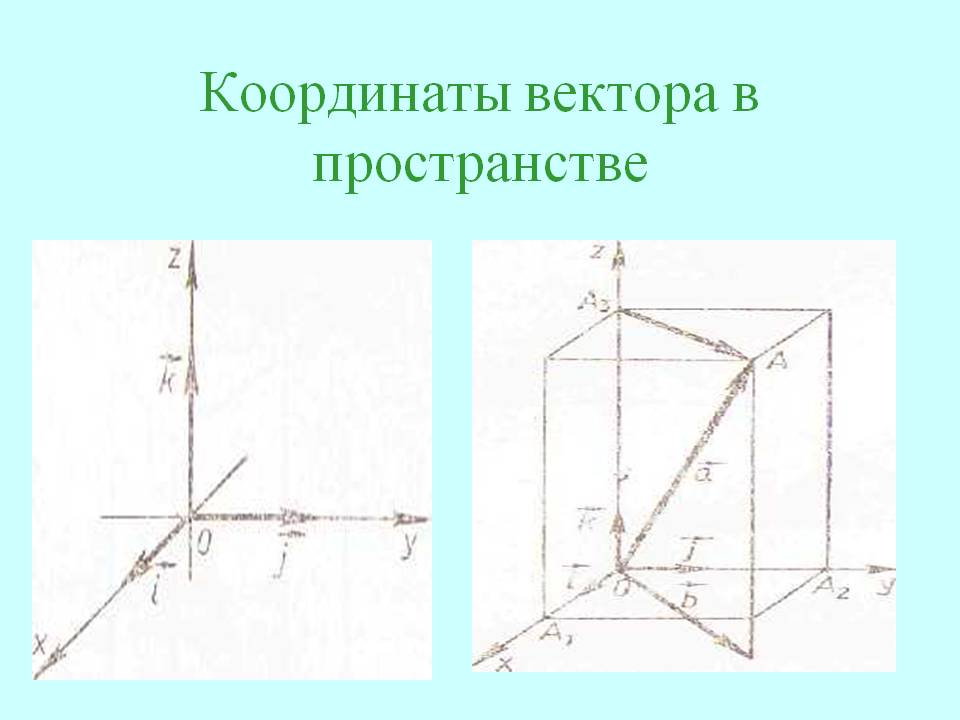 Координаты вектора