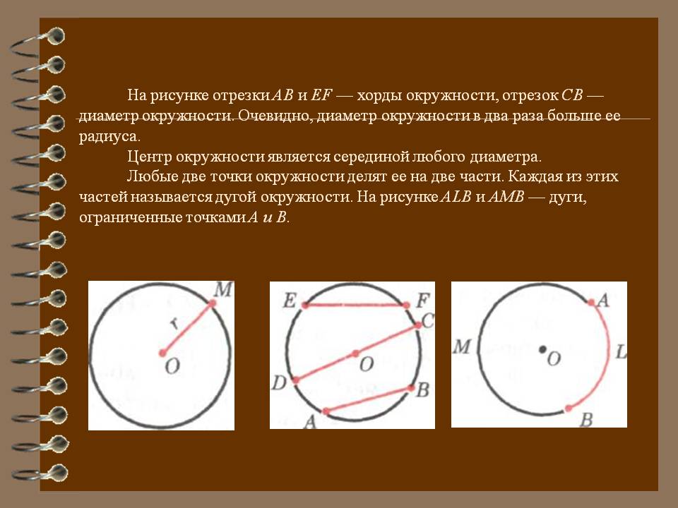 На рисунке отрезки АВ и ЕF — хорды окружности, отрезок СВ — диаметр