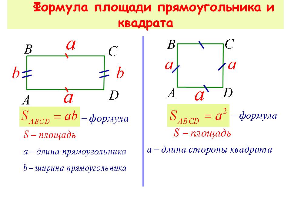 Формула площади прямоугольника и квадрата