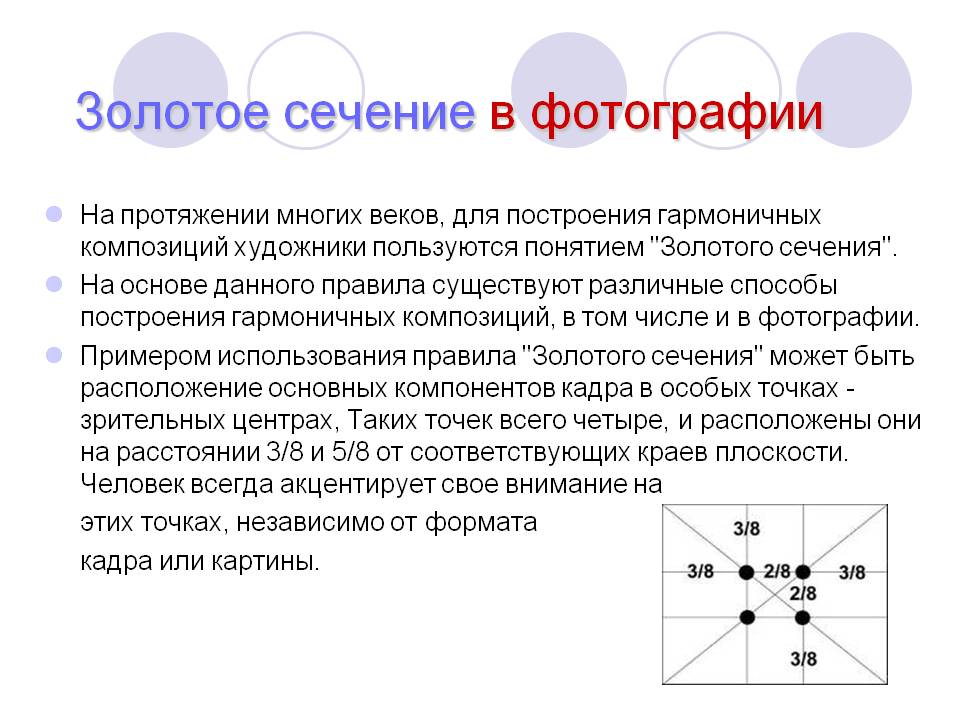 Золотое сечение в фотографии