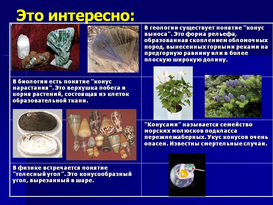 Конус выноса