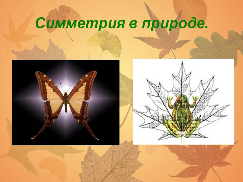 Симметрия в природе