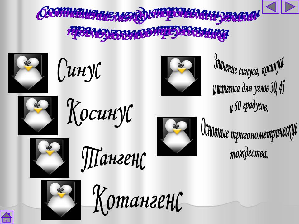 Синус