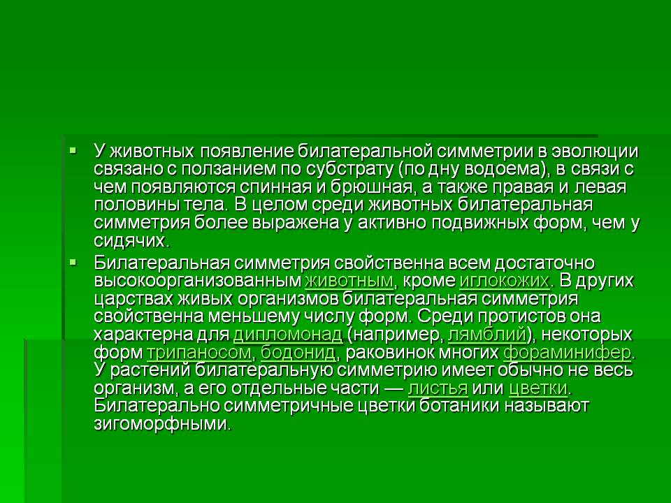 Появление билатеральной симметрии