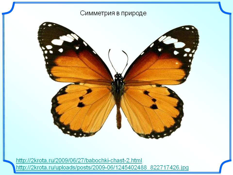 Симметрия в природе